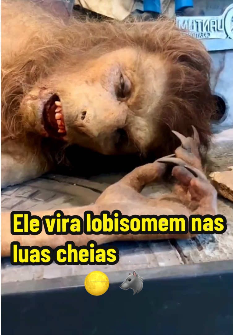 @felpzoficial