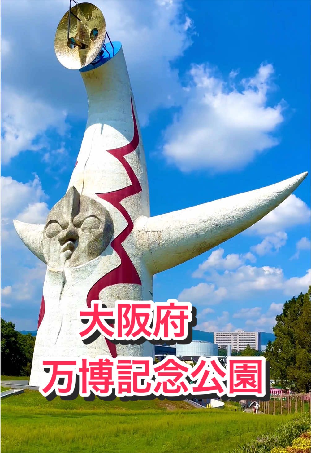 @音丸ぽん🇯🇵