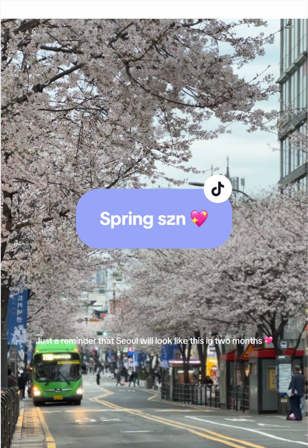 @putsssss🎀