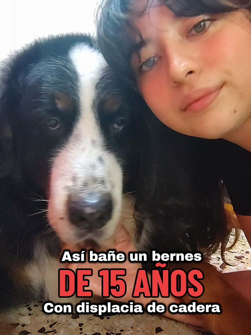 @✨ximenAragon✨