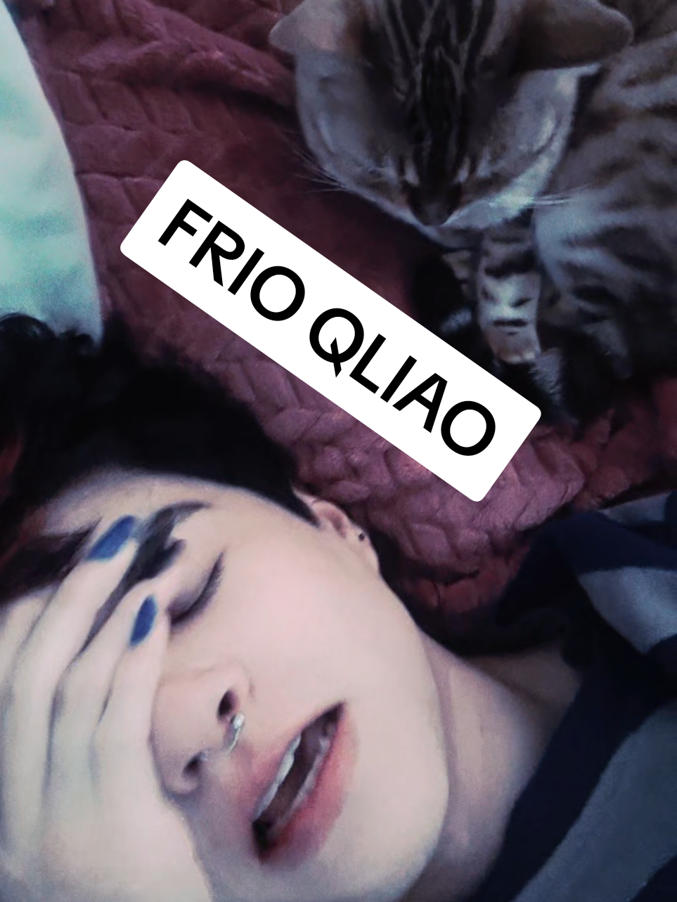 @Vicho