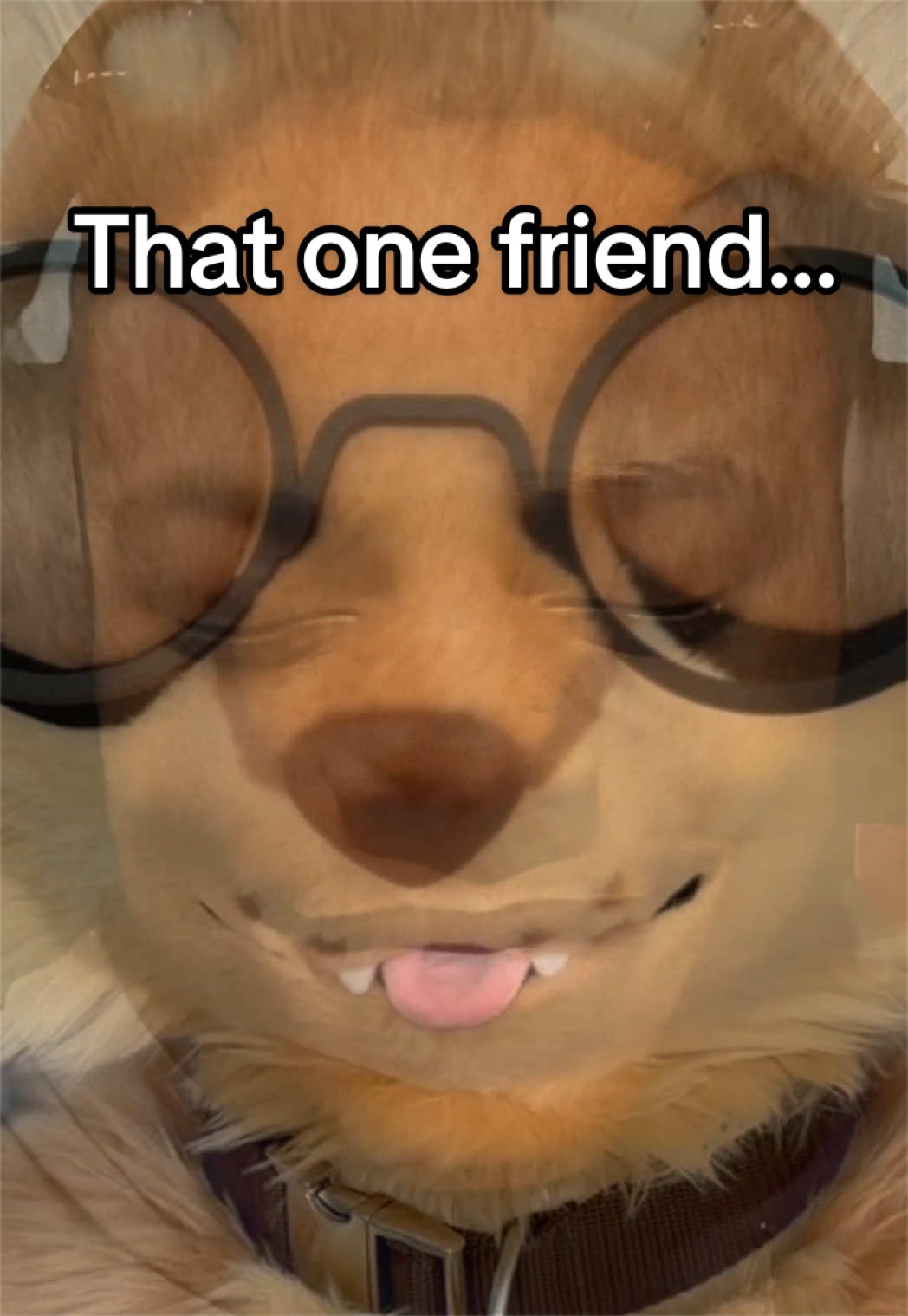 @Max Fluffy
