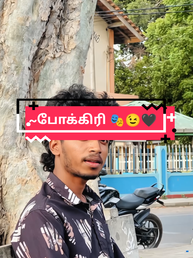 @𝐁ʟαᥴк 𝐋σꪜᴇ 🖤🐾🌚