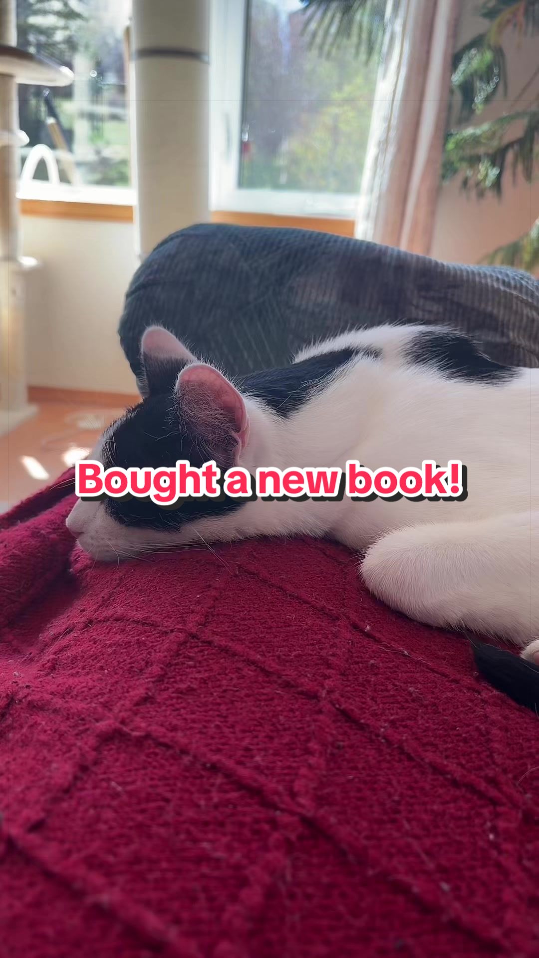 @Cozywithteaandbooks🇨🇦