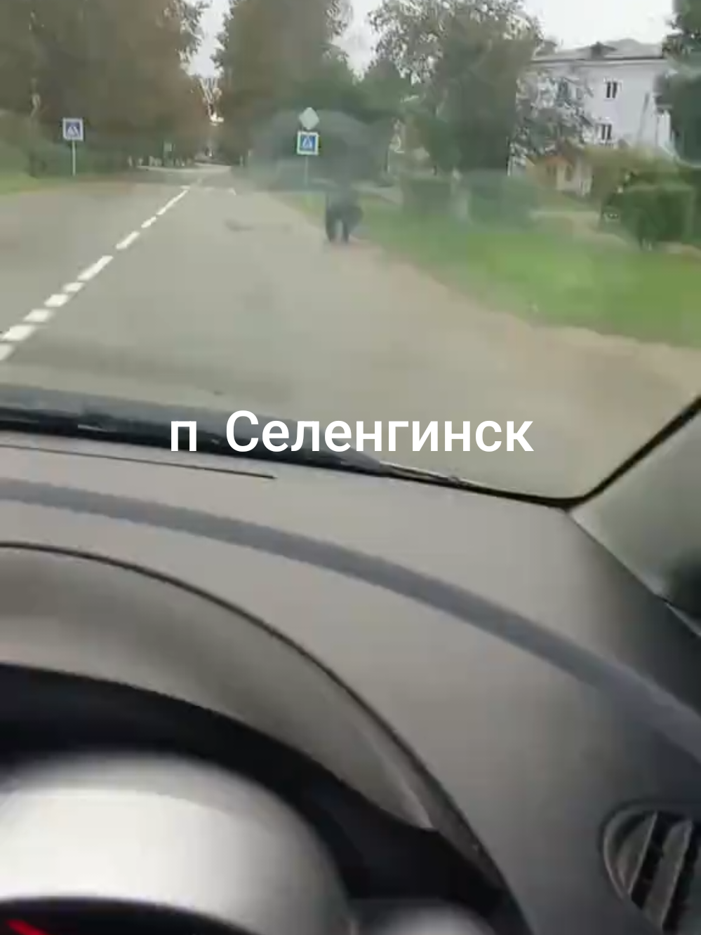 @Ольга03rus