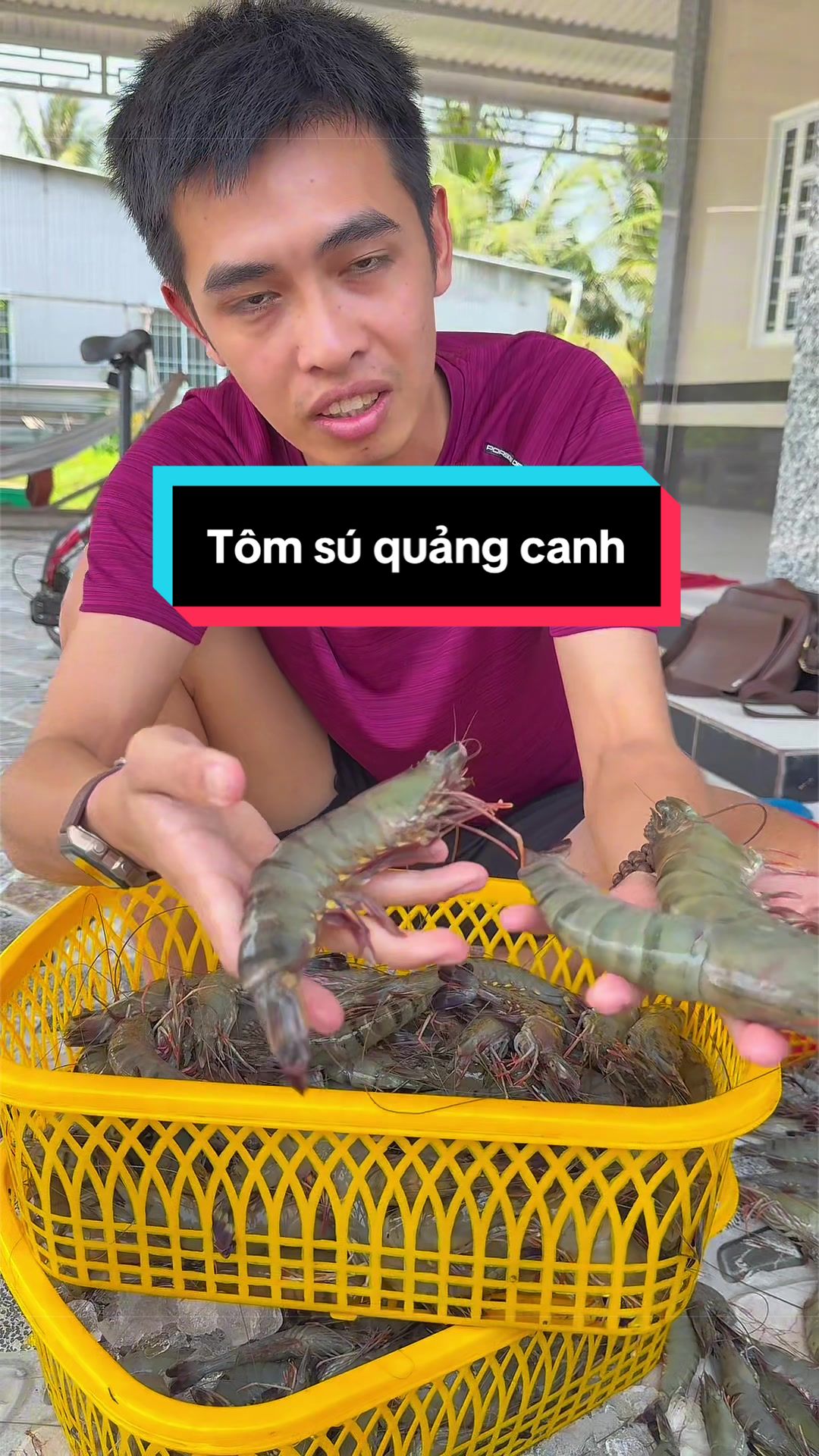 @Tuananh Do