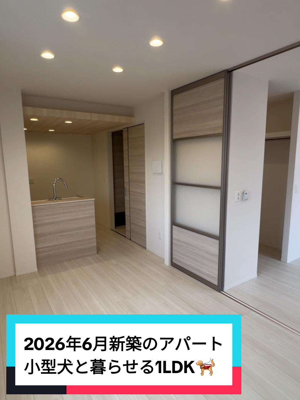 @賃貸ルームツアー♪松山市と今治市みかん不動産