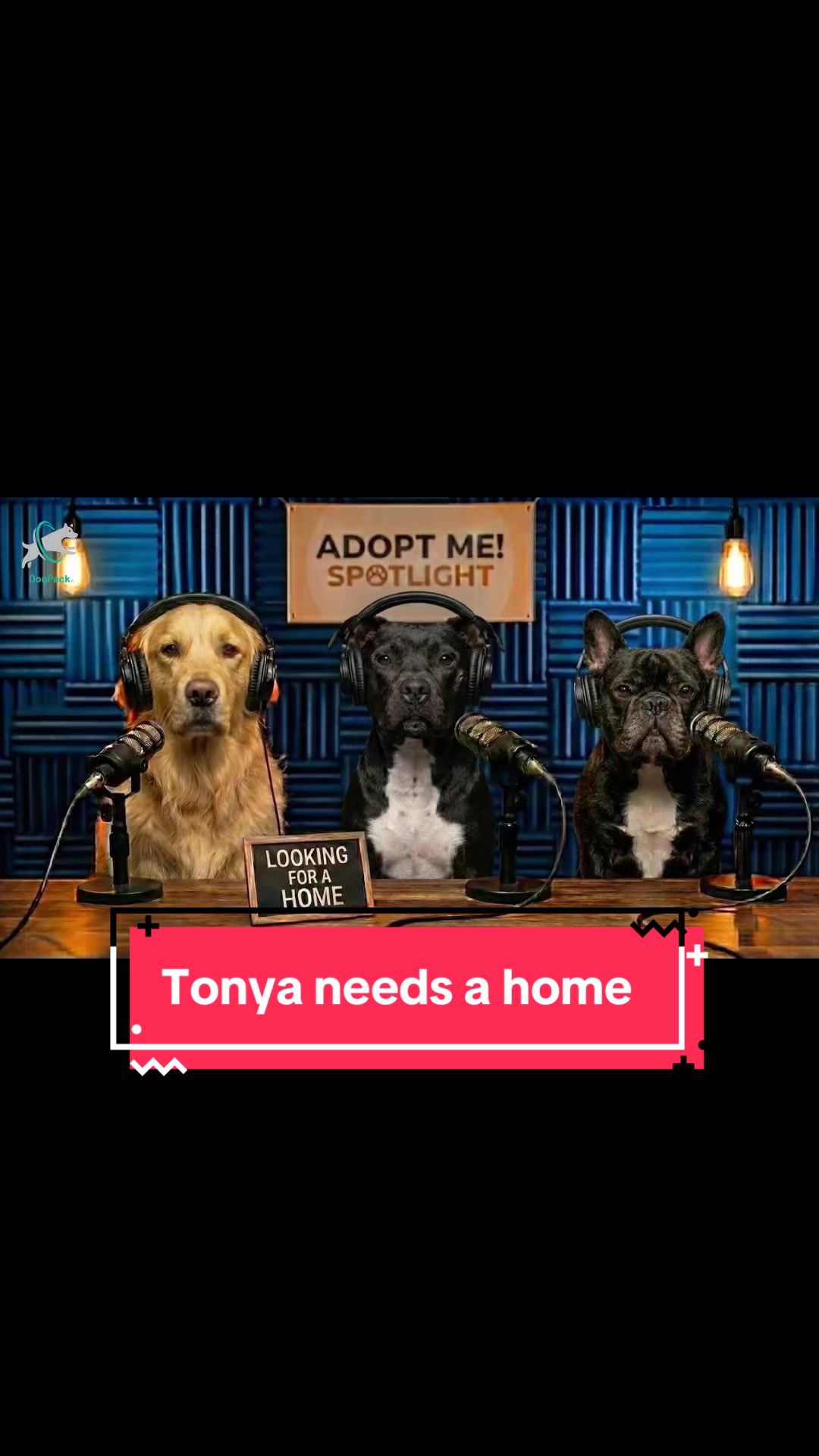 @DogPack
