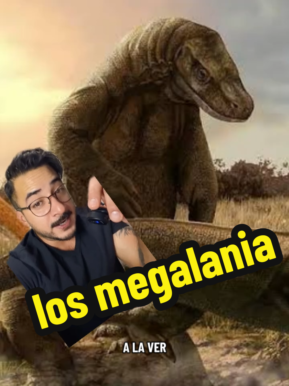 @nolosejose