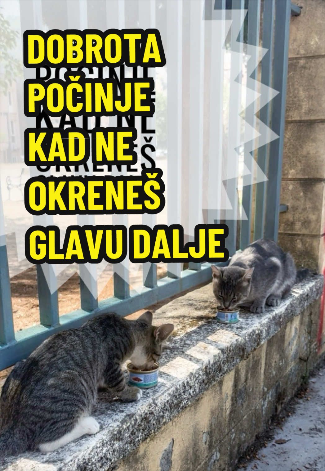 @Maja Kovijanic