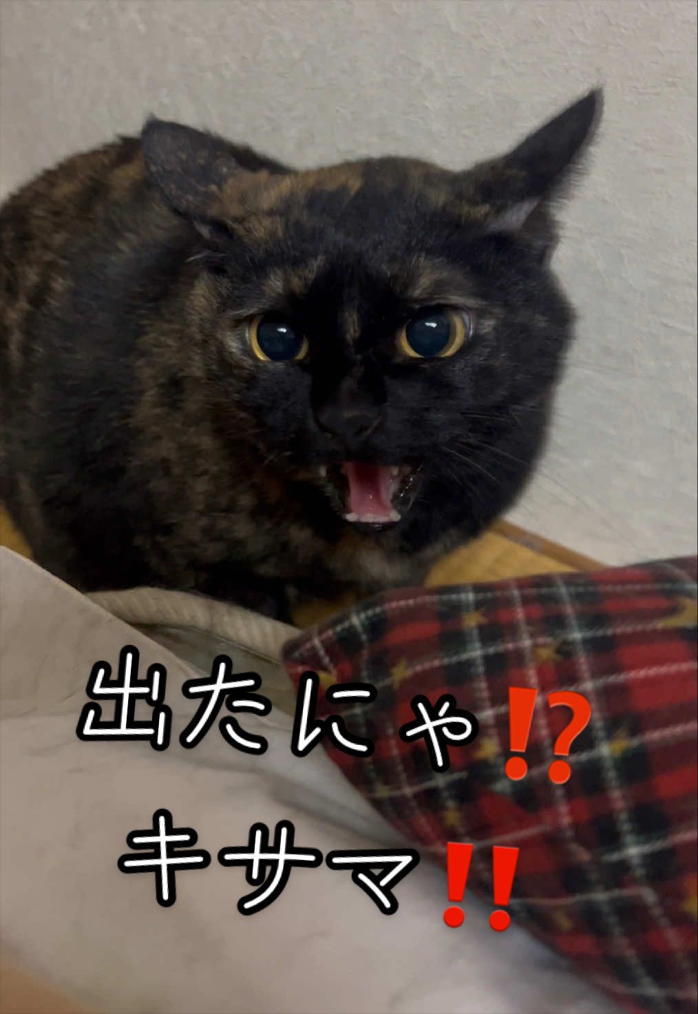 @聴々物語PROJECT