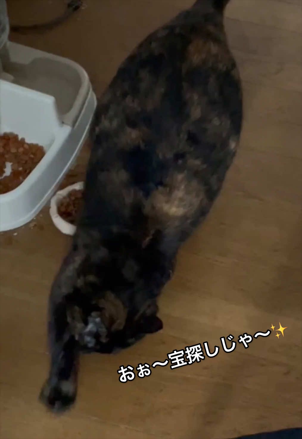 @聴々物語PROJECT