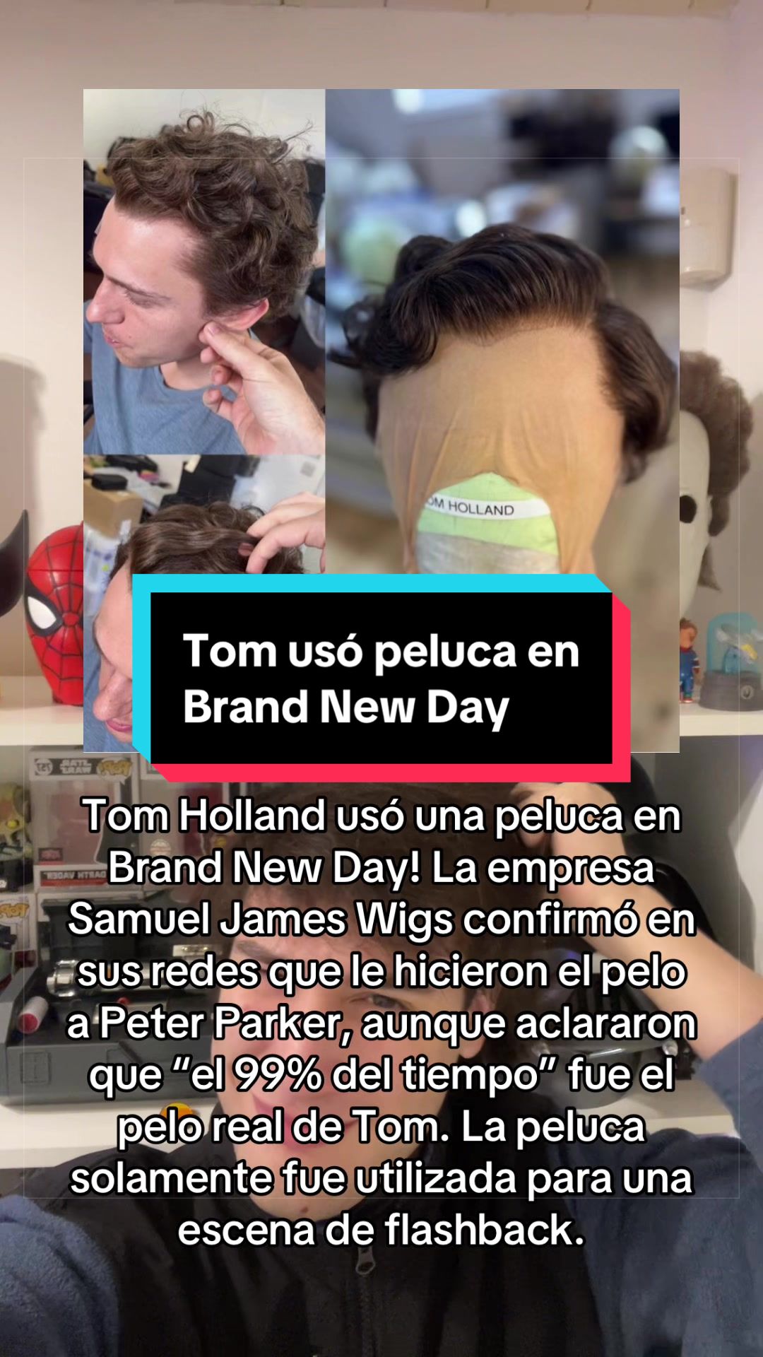 @tomybelluzzo 🕷