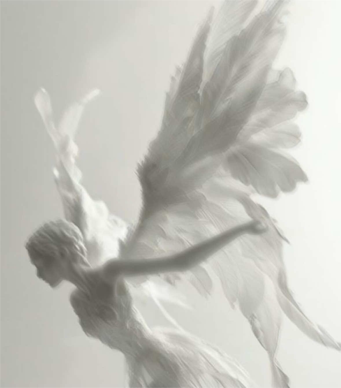 @𝔀𝓱𝓲𝓽𝓮 𝓪𝓷𝓰𝓮𝓵