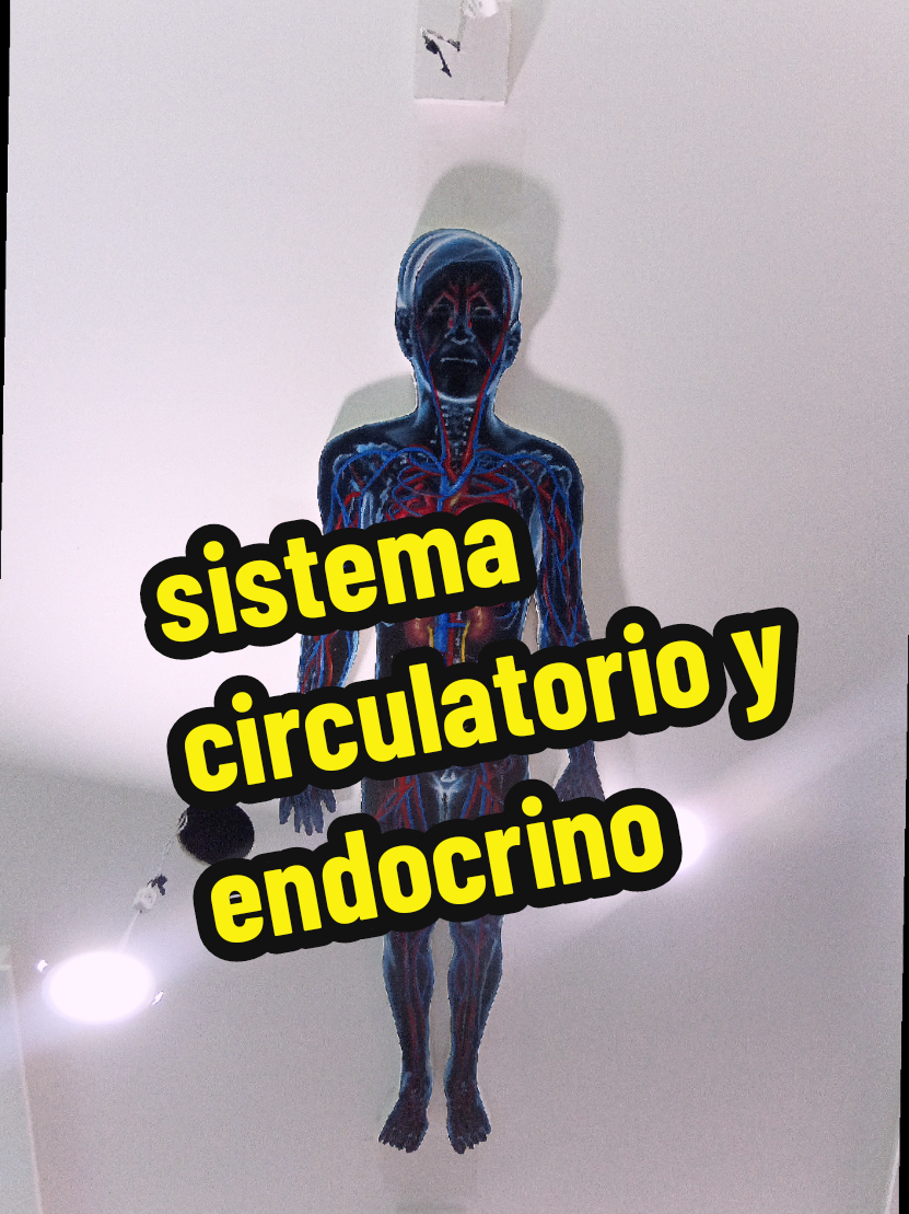 @anthuan salgado