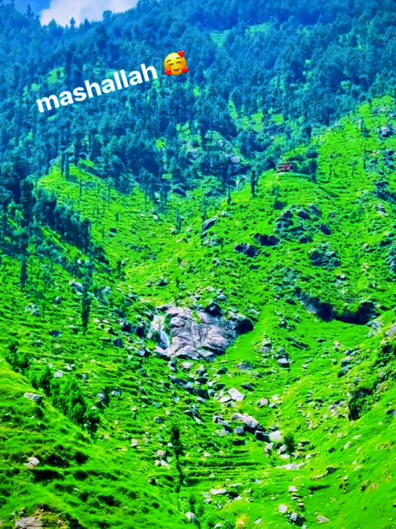 @iNaM جانی 🧪👨🔬