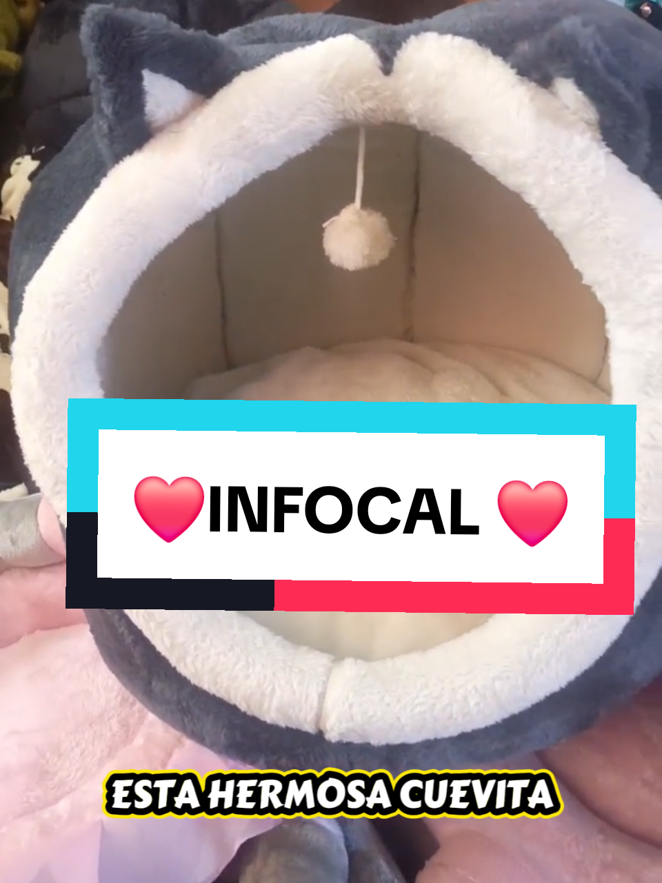 @Minxgia Pets