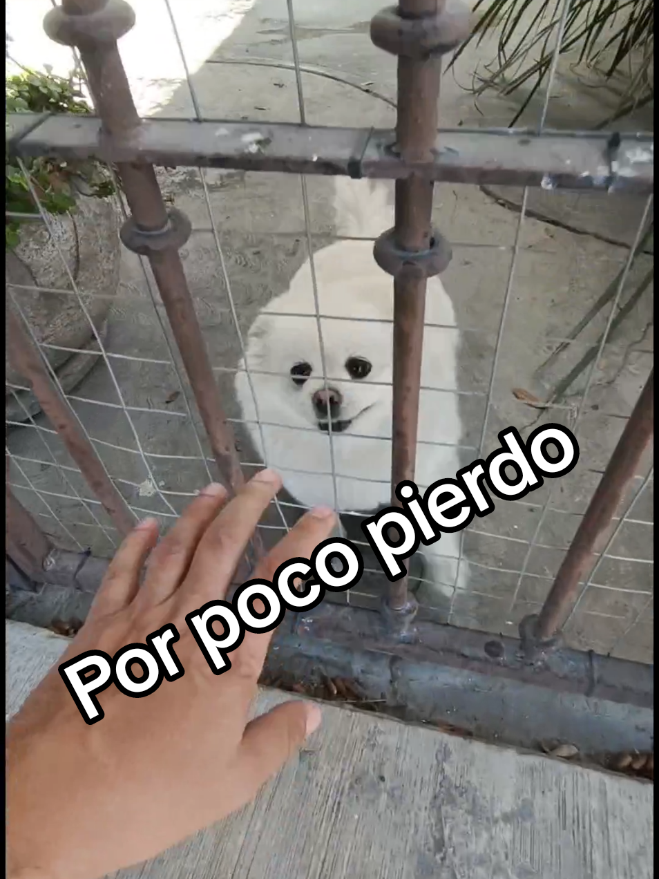 @Lucio Lucian