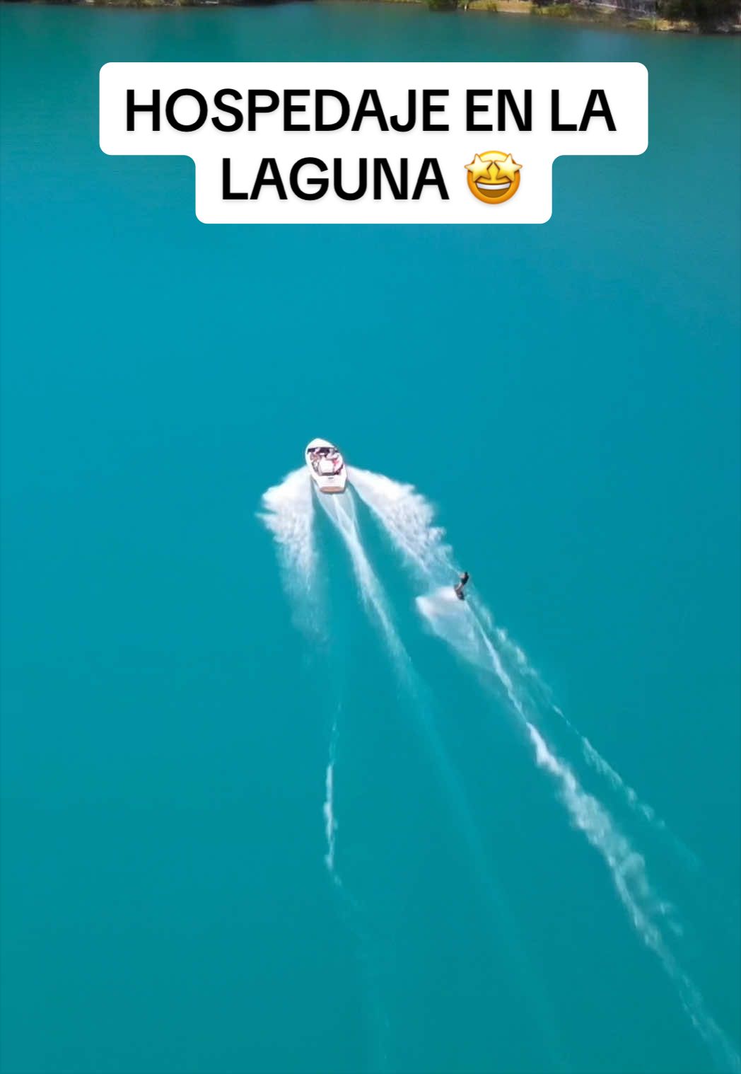 @provechito.gdl
