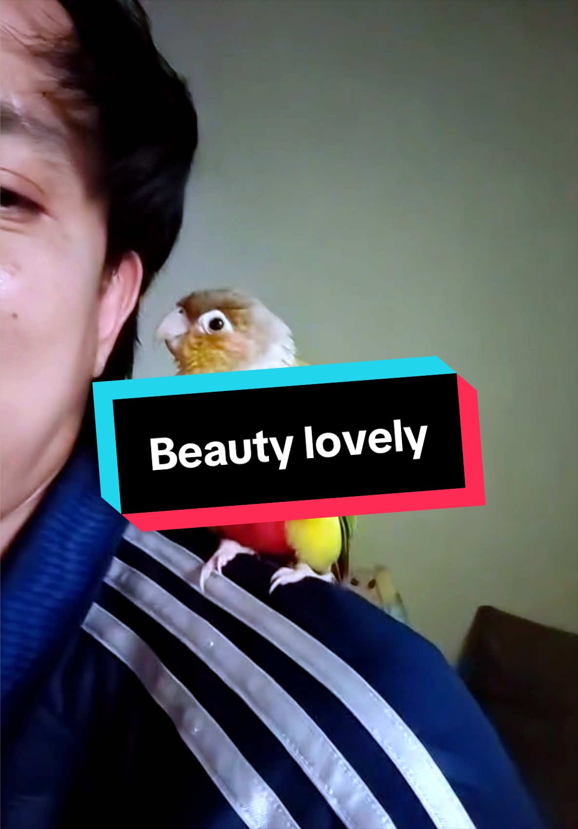 @Supee