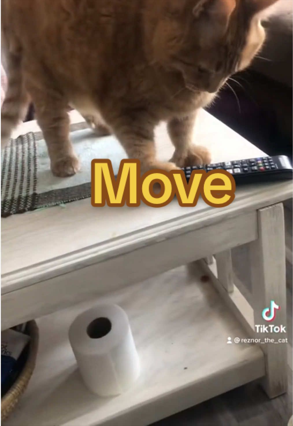 @Reznor_the_cat🪽