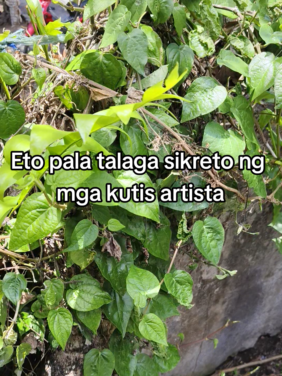 @Ms. C