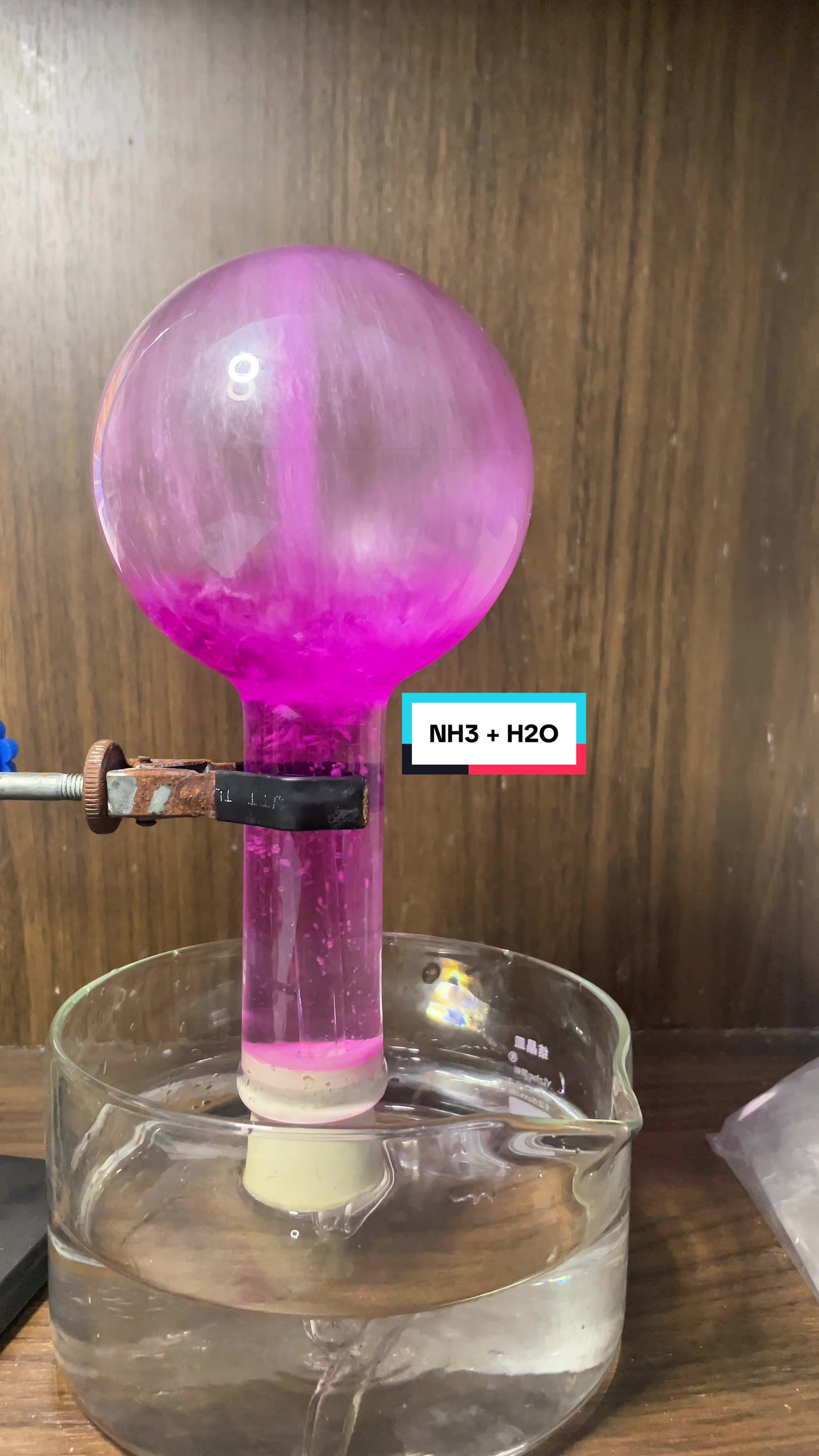 @Minh Đức