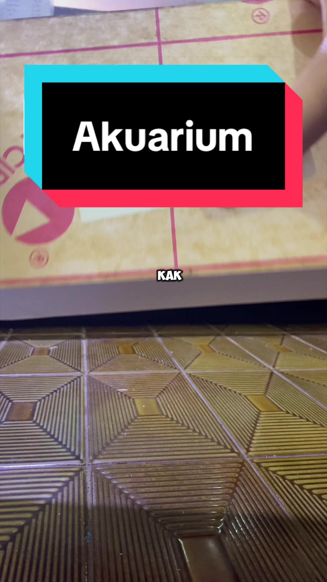 @Aquarium_group
