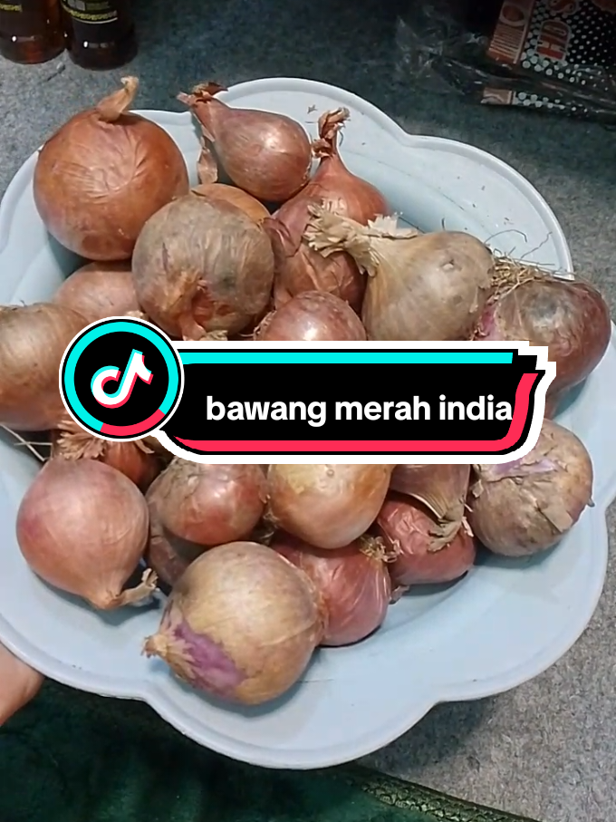 @ujangabdul01