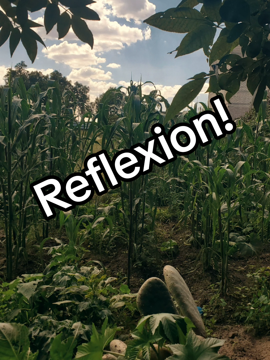 @patito6818