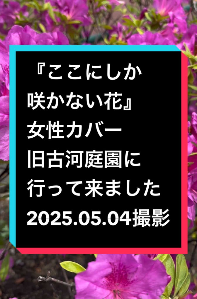 @ゆる