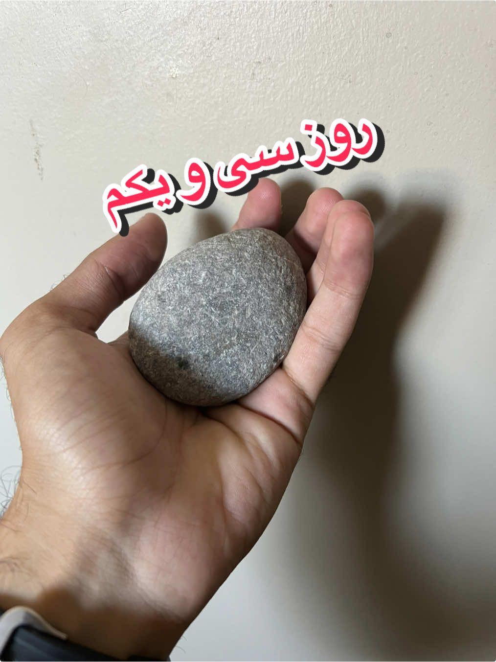 @قلی | یه حیوون خونگی متفاوت