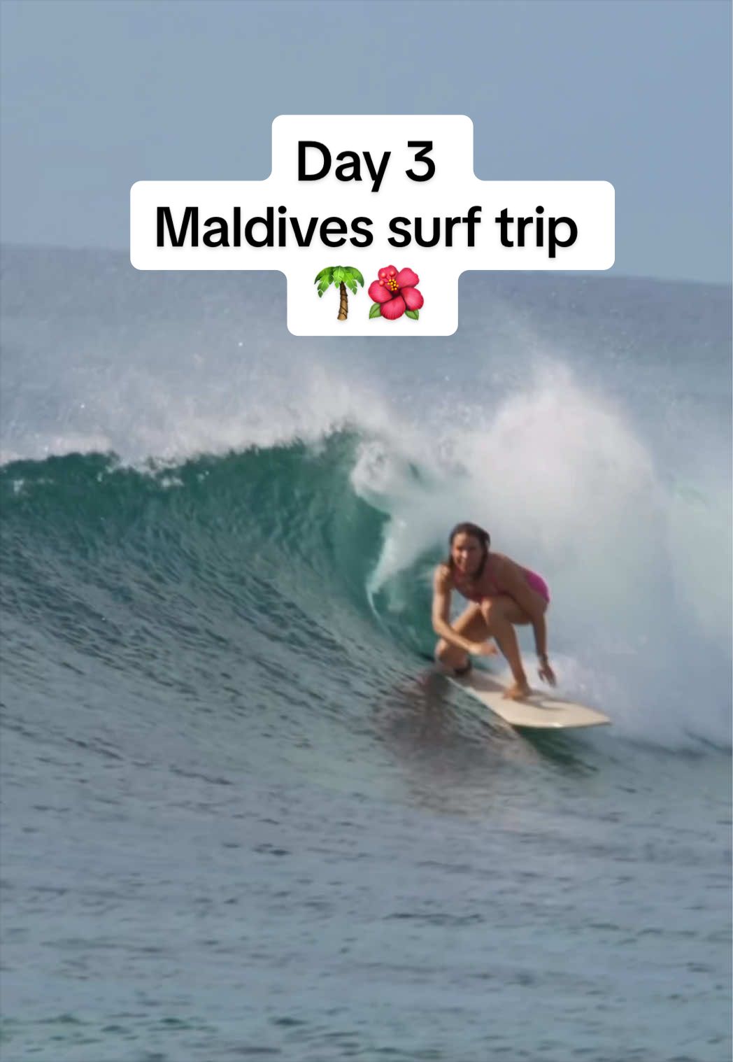 @Laura 🤙🏽 Froth Nugget