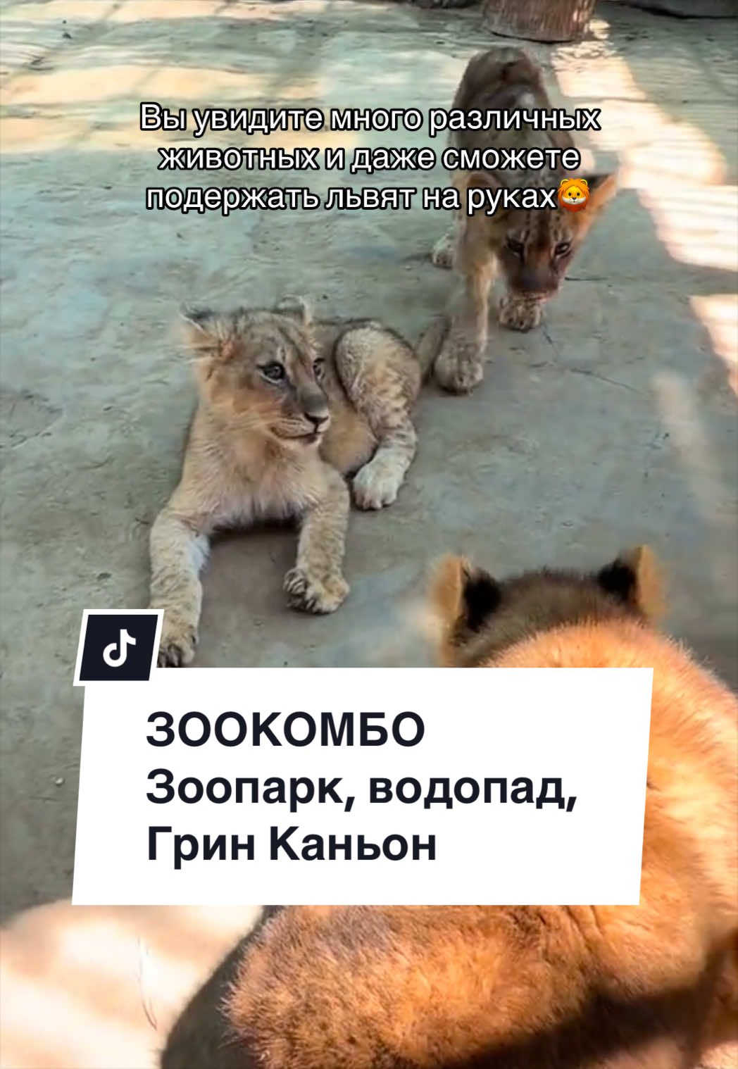 @ЭКСКУРСИИ ПО ТУРЦИИ🇹🇷
