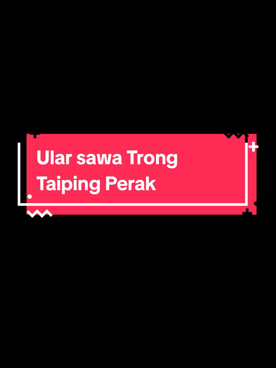 @HotDTaipinghdt