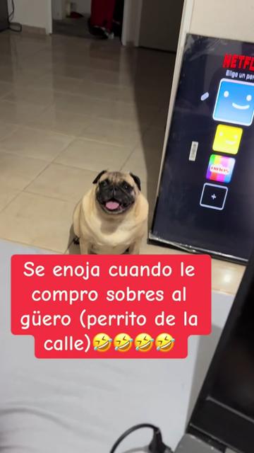 @Lic. Janys