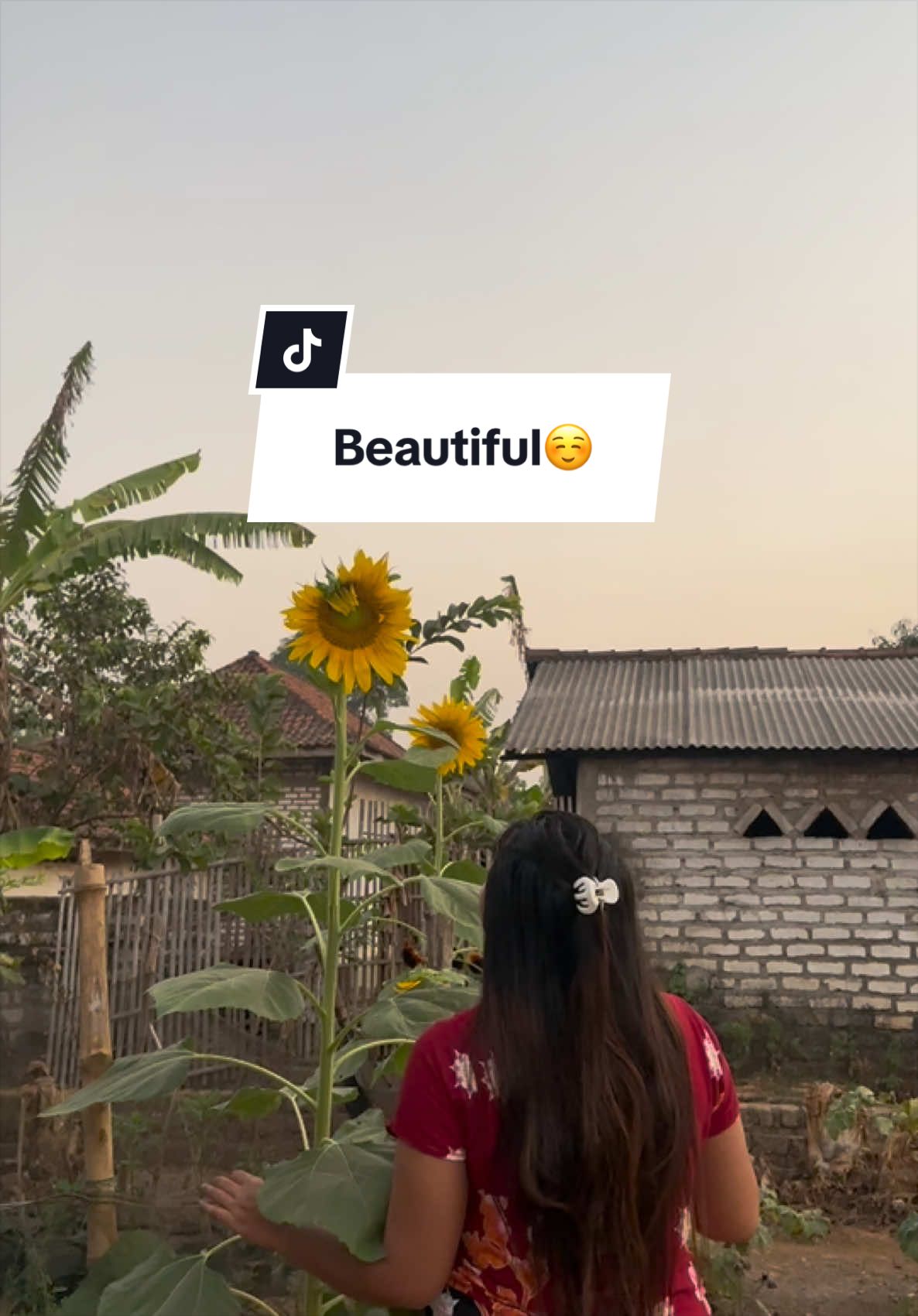 @Cess Garden 🌱