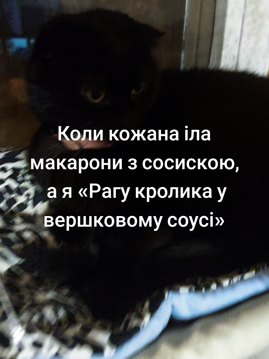 @💙Oliçka_Allakulyyeva💛
