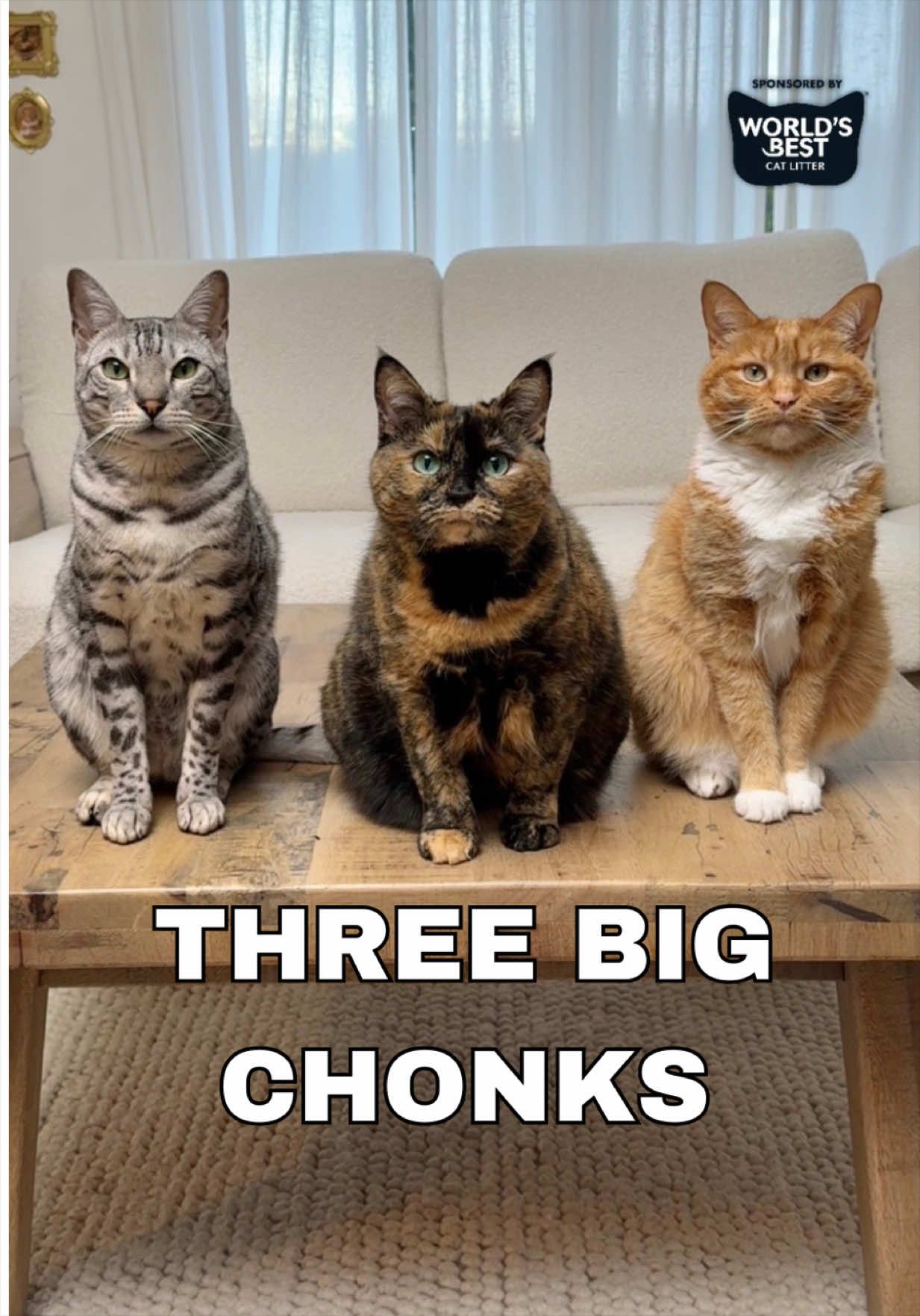 @Ginger, Pepper, & Cinnamon