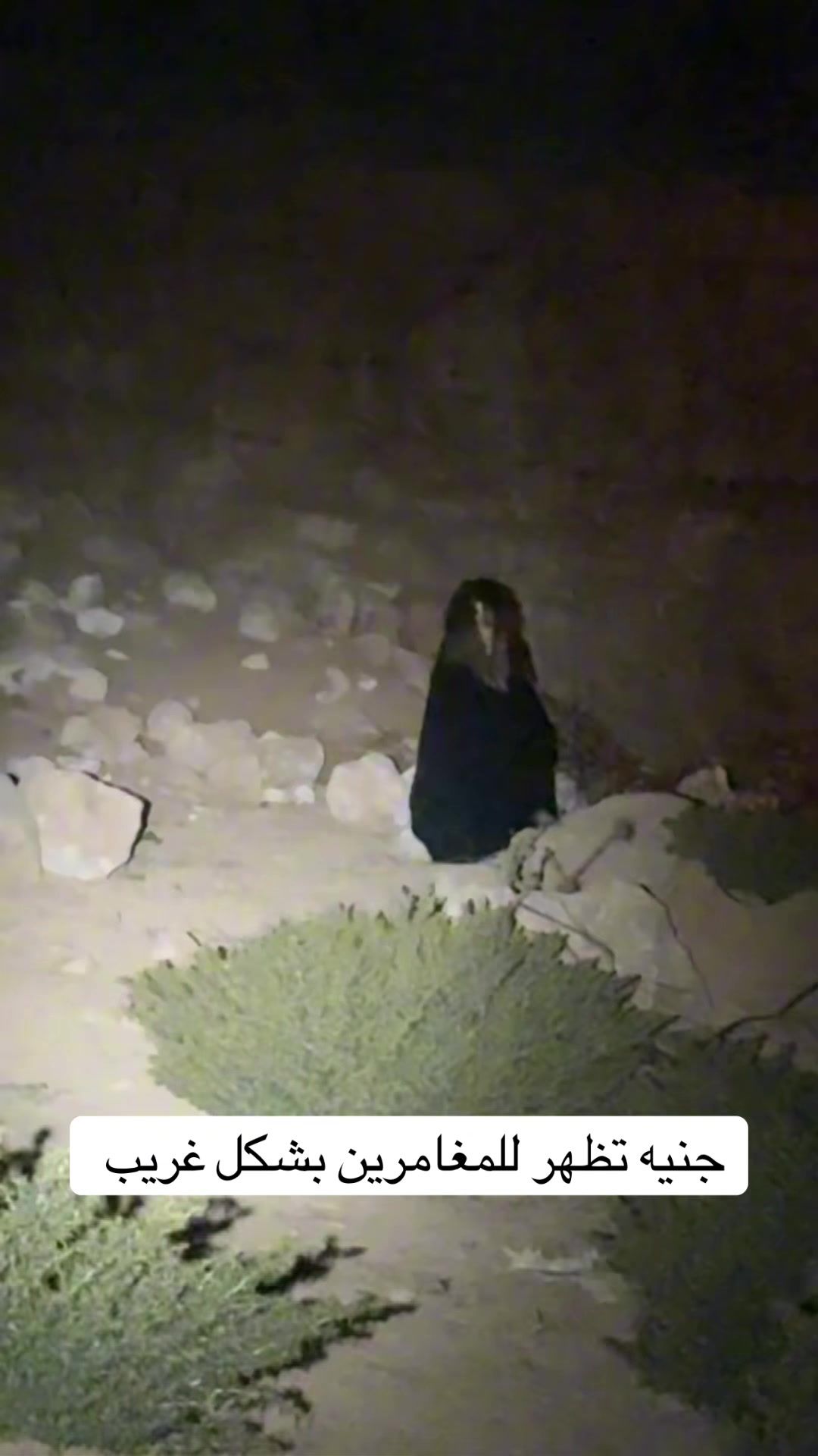 @حسن بربر
