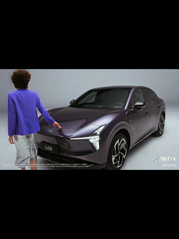 @Great Lion Electric Vehicle