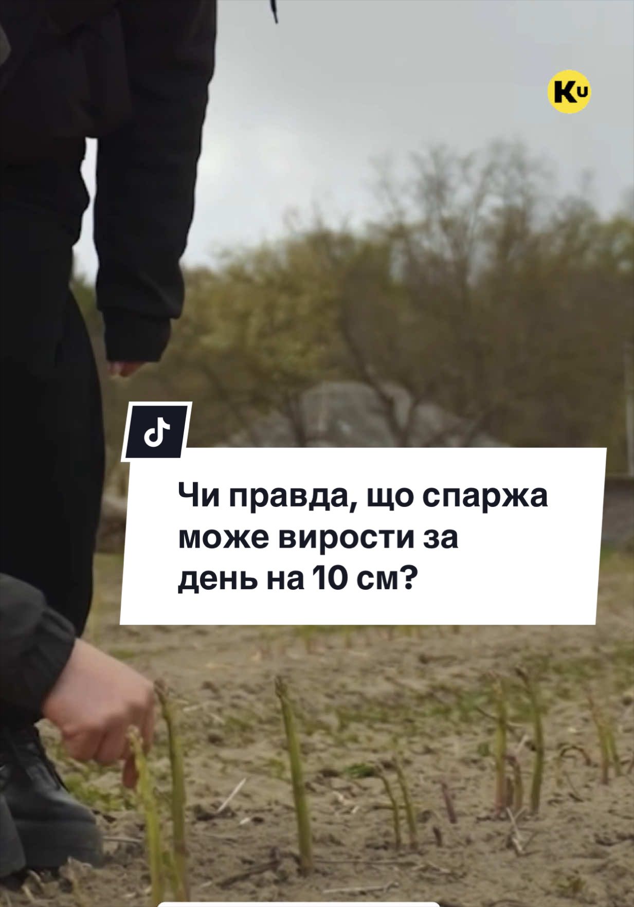 @Ku 🟨🟩 Lati – Agro Ukraine