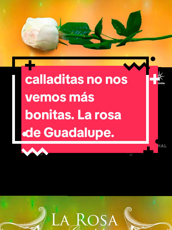 @Lorenzo Pérez Cuevas