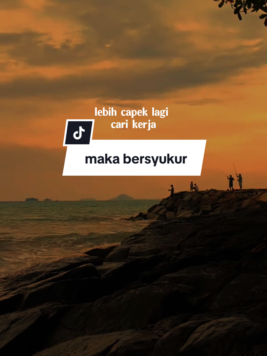 @SHY