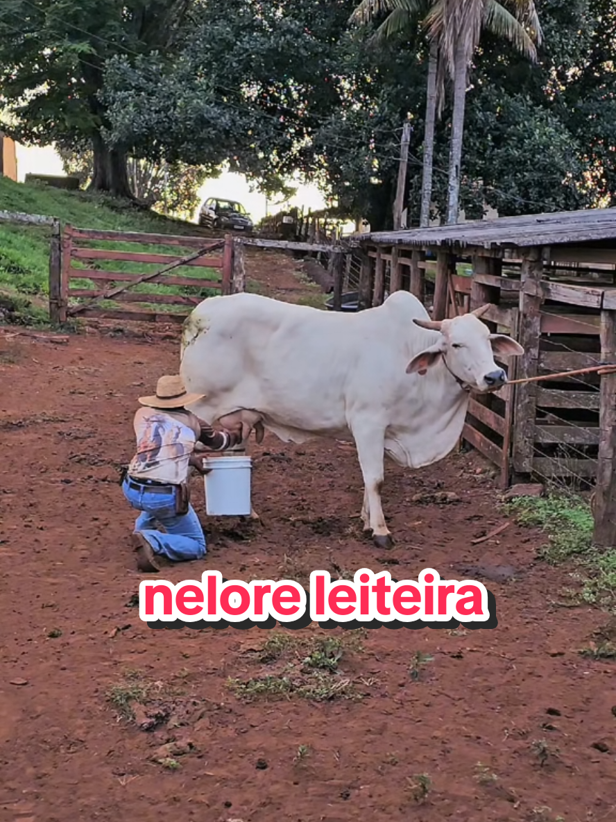 @Geovane neto