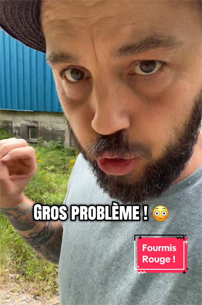 @r&ecirc;ves en chantier