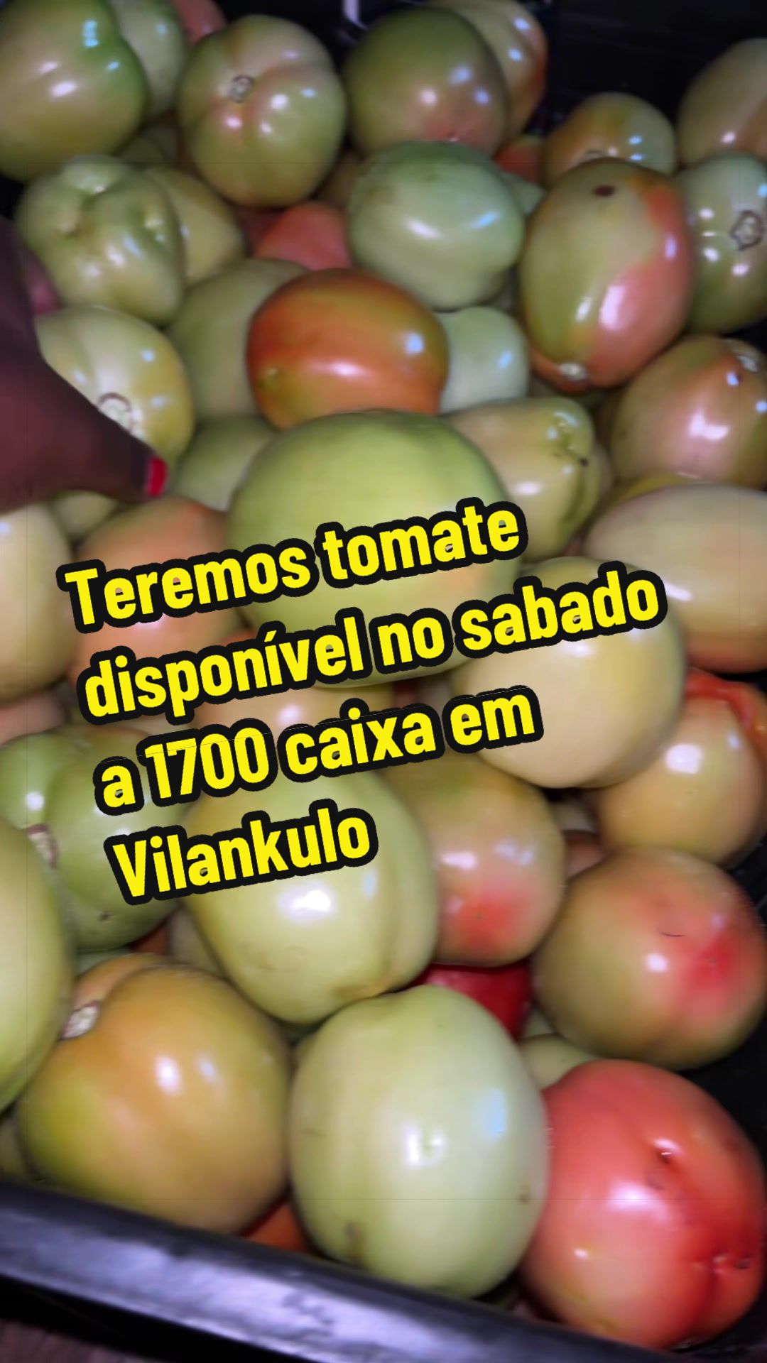 @Felicidade Gotine Firmino