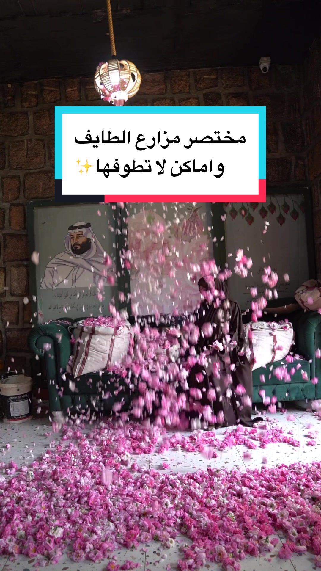 @Wafaa