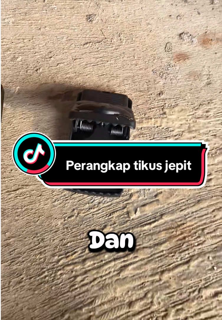 @selection_store