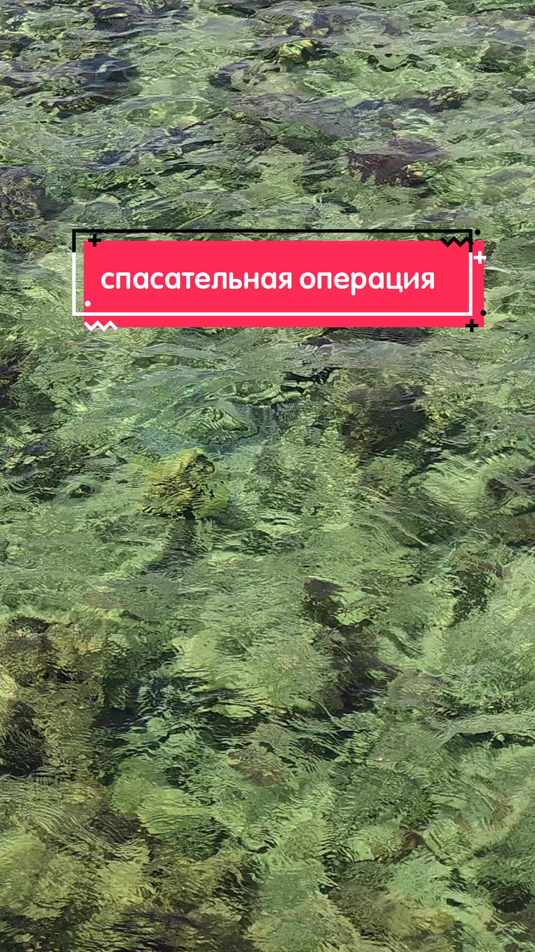 @Дильшат